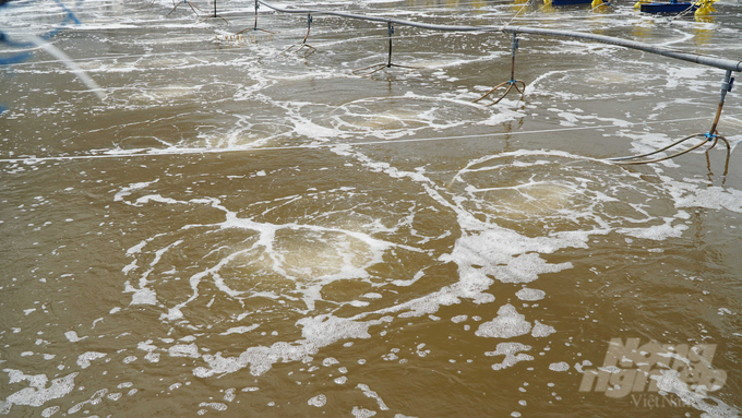 Maintaining water quality is a key challenge in disease prevention and control in the fishery sector. Photo: Le Binh.