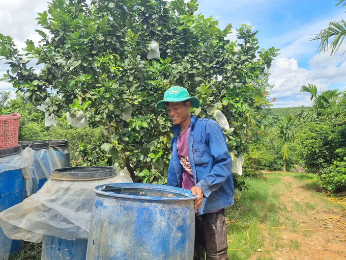 Mr. Ghi’s family garden only uses biological products to manage pests and diseases. Photo: Tuan Anh.