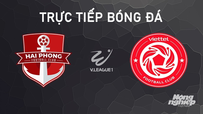 Trực tiếp bóng đá V-League 2024/25 giữa Hải Phòng vs Viettel hôm nay 4/10/2024