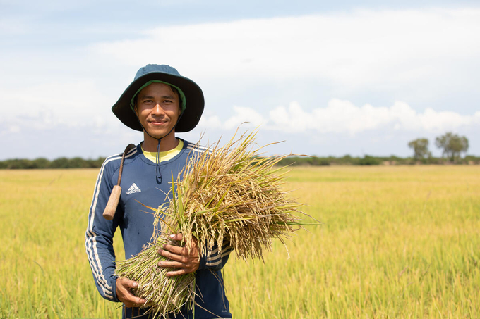 A rice farmer in Cambodia.