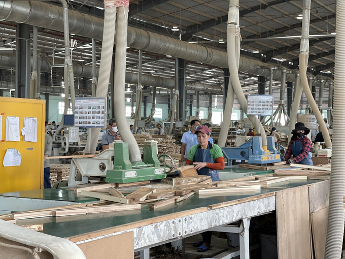 Binh Dinh’s wood industry aims to achieve an export turnover of over 1 billion USD in 2024. This sets the foundation for the sector’s ambitious target in the coming year. Photo: VDT.