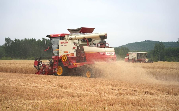 A farmer drives a harvester in Weicheng district of Weifang city, East China's Shandong province, June 5, 2024.