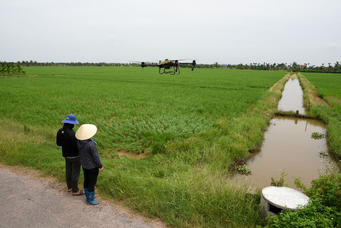 Đại điền Đặng Thị Thúy Hà đang chỉ đạo con rể lái may bay phun thuốc. Ảnh: Dương Đình Tường.