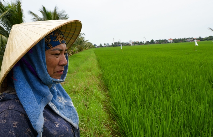 Đại điền Đặng Thị Thúy Hà trước nỗi lo đất nhiễm mặn. Ảnh: Dương Đình Tường.