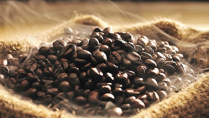 Latest domestic and global coffee prices on 10/05/2024