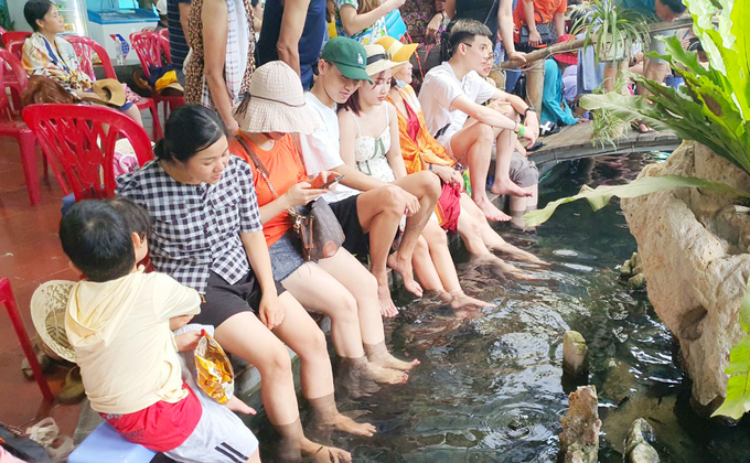 The foot massage service with fish in Viet Hai delights tourists. Photo: Dinh Muoi.