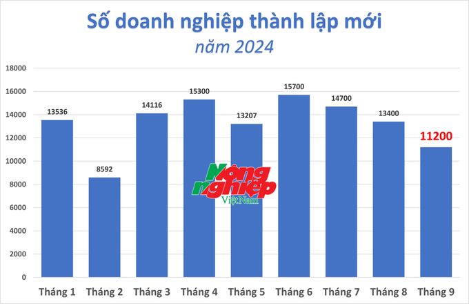 Số doanh nghiệp thành lập mới trong năm 2024 đã có tháng thứ 3 liên tiếp sụt giảm