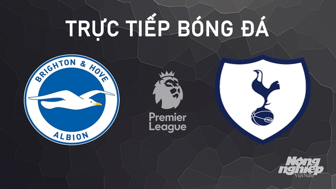 Trực tiếp bóng đá Ngoại hạng Anh giữa Brighton vs Tottenham hôm nay 6/10/2024