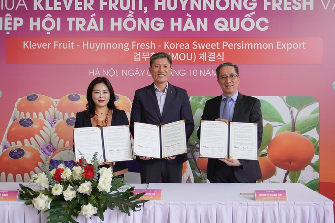 Lễ ký kết MOU giữa Klever Fruit, HuynNong Fresh và Hiệp hội quả hồng Hàn Quốc nhằm thúc đẩy quảng bá trái hồng Hàn Quốc đến Việt Nam. Ảnh: Hồng Thắm.