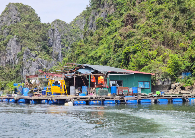 Trạm Kiểm lâm Việt Hải ngày 4/10/2024. Ảnh: Đinh Mười.