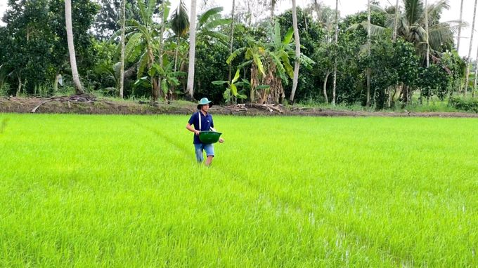 Bà con nông dân vùng sản xuất lúa đông xuân sớm bắt đầu xuống giống. Ảnh: Kim Anh.