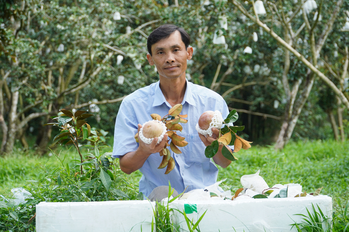 Agriculture, forestry, and fisheries are among the strengths of Soc Trang Province that attract the interest of Chinese investors. Photo: Kim Anh.