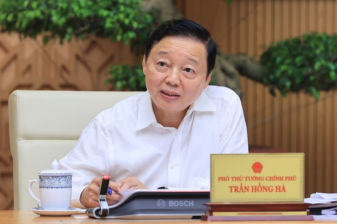 Deputy Prime Minister Tran Hong Ha speaks at the meeting. Photo: Nhat Bac.