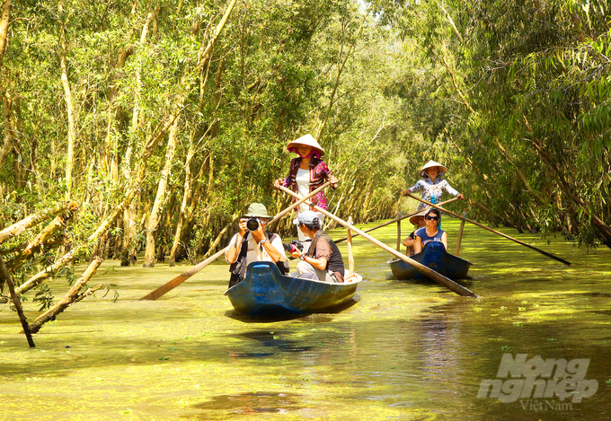 Tra Su Melaleuca forest, located in An Giang province, is part of Vietnam's special-use forest system and was designated as a landscape protection area in 2005. Photo: Le Hoang Vu.