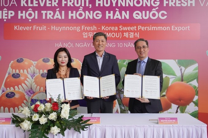 MOU signing ceremony between Klever Fruit, HuynNong Fresh, and the Korea Sweet Persimmon Export Association to promote the promotion of Korean persimmons to Vietnam. Photo: Hong Tham.