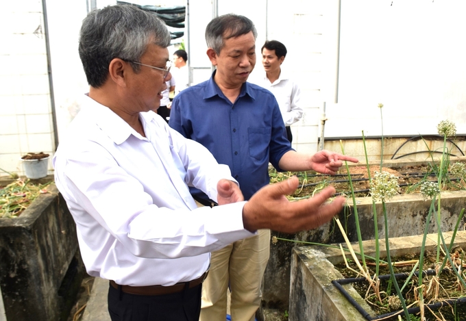 TS Hồ Huy Cường, Viện trưởng Viện Khoa học kỹ thuật Nông nghiệp Duyên hải Nam Trung bộ (bìa trái) giới thiệu mô hình nghiên cứu giống hành tím với GS.TS Phạm Văn Toản, Phó Giám đốc Viện Khoa học Nông nghiệp Việt Nam. Ảnh: V.Đ.T.