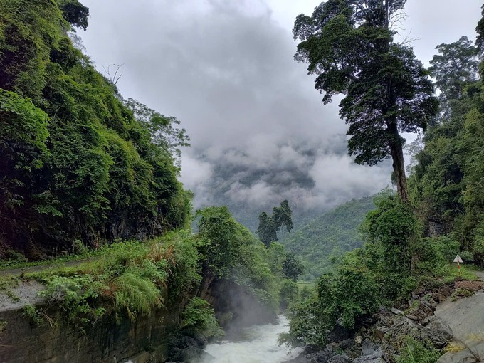 From 2029, the carbon market in Vietnam will officially operate and research the ability to connect with the international market. Photo: Kim Long.