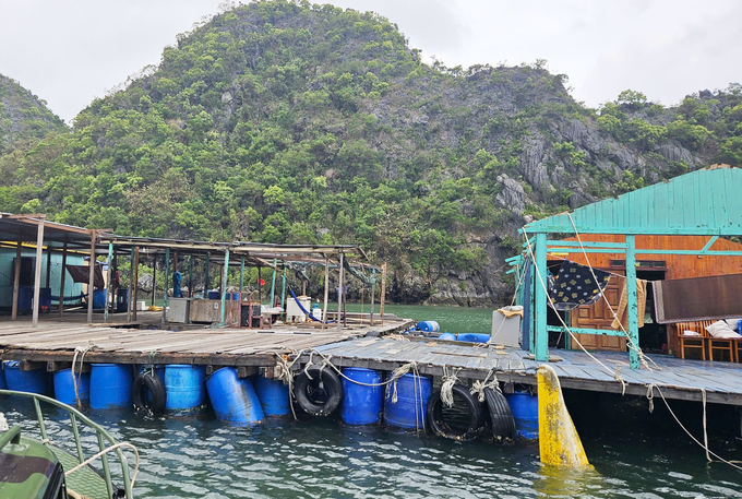 A marine forest protection station sustained irreparable damages, measuring between 70 and 100%.  Photo: Dinh Muoi.