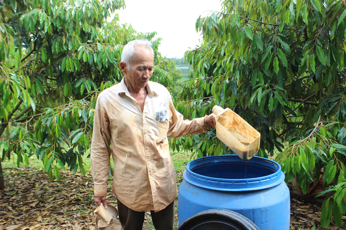 Phan Van Vinh utilizes only biological products for pest control on his durian trees. Photo: Tuan Anh.