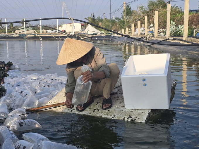 Hải Phòng đã nhanh chóng khắc phục hậu quả bão số 3 và quay trở lại các hoạt động sản xuất, kinh doanh. Ảnh: Đinh Mười.