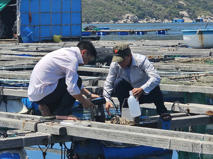 Cán bộ Trung tâm lấy mẫu nước và đo các chỉ số môi trường tại vùng nuôi tôm hùm huyện Vạn Ninh, tỉnh Khánh Hòa. Ảnh: KS.