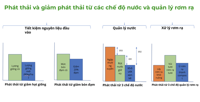 Còn thiếu cơ chế để động viên nông dân sản xuất lúa phát thải thấp. Ảnh: Lê Thanh Tùng.