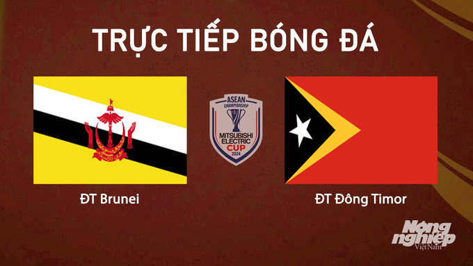 Trực tiếp bóng đá Brunei vs Timor Leste tại vòng loại AFF Cup 2024 hôm nay 8/10/2024