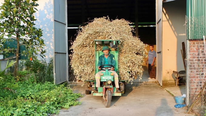 Hợp tác xã của ông Sách nhận thu mua, bao tiêu sản phẩm cho người dân. Ảnh: Đinh Mười.