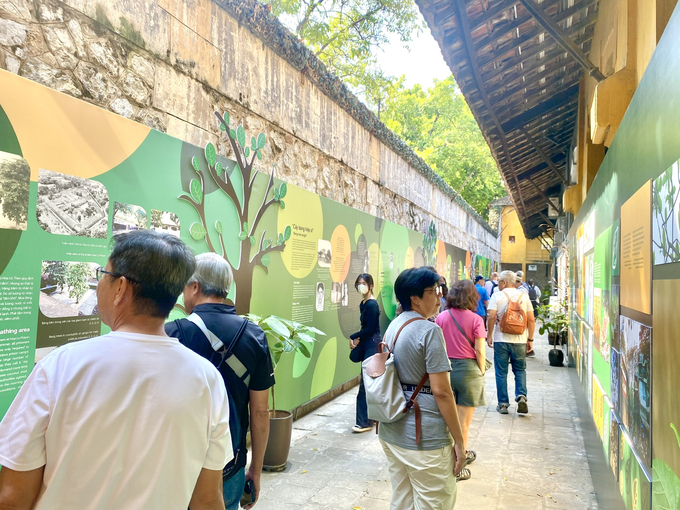  Ngày đầu tiên mở cửa đón khách đến với chuyên đề 'Bàng ơi...!' thu hút đông đảo khách tham quan.