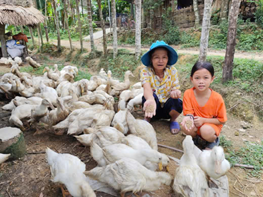 Các hộ gia đình có thu nhập cải thiện qua từng năm.