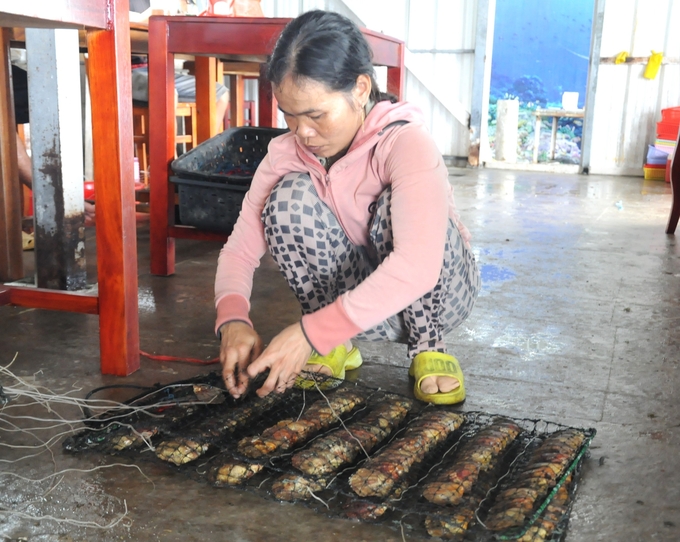 After being implanted with embryos, the oysters will be placed in cages and hung on buoy lines available in the sea for care, helping them continue to grow and create pearls. Photo: Trung Chanh.