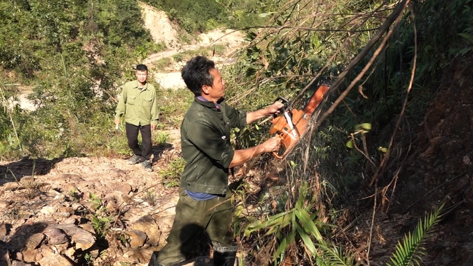 Người dân, doanh nghiệp tiến hành dọn dẹp rừng, tạo đường băng cản lửa để phòng chống cháy rừng. Ảnh: Nguyễn Thành.