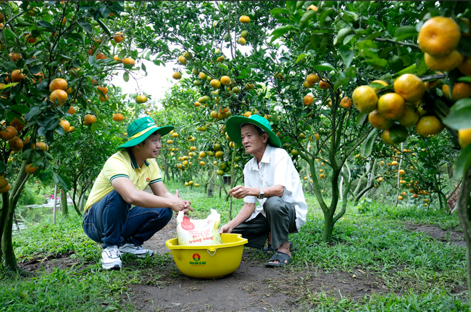 Kỹ sư Phân Bón Cà Mau tư vấn kỹ thuật, phương pháp sử dụng phân bón cho nông dân.