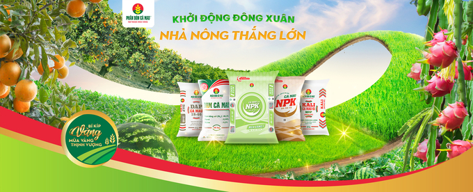 Phân Bón Cà Mau giải pháp dinh dưỡng toàn diện cho cây trồng.