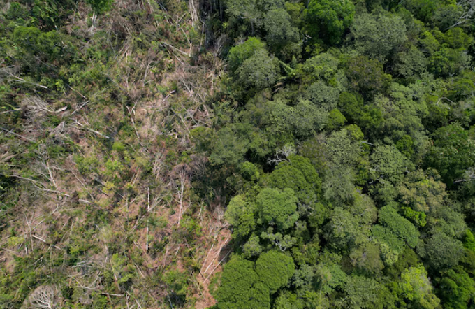 A drone view shows a deforested plot of Brazil's Amazon rainforest in the municipality of Humaita, Amazonas state, Brazil, August 7, 2024.