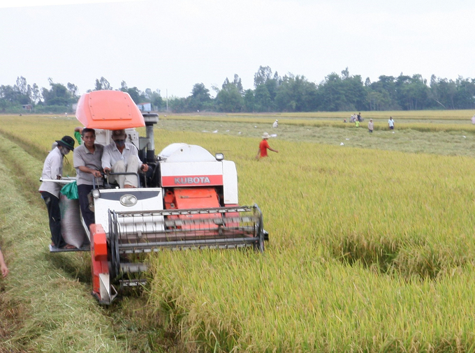 Ngành đang tập trung vào các nhiệm vụ trọng tâm cho quý cuối năm 2024, bao gồm phục hồi sản xuất sau bão và xây dựng kế hoạch đầu tư cho giai đoạn 2026-2030. Ảnh: VGP.