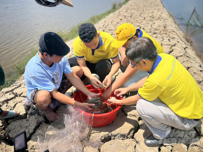 Nông dân tham gia chuỗi liên kết sản xuất của Công ty TNHH Xã hội chuỗi tôm rừng Minh Phú. Ảnh: Trọng Linh.