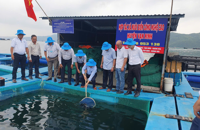 Lãnh đạo tỉnh và các Sở, ngành thả con giống thủy sản vào lồng nuôi của Hợp tác xã. Ảnh: KS.