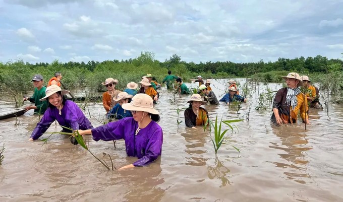 Tourists respond to planting nipa palms on the Ba Lai River. Photo: Minh Dam.