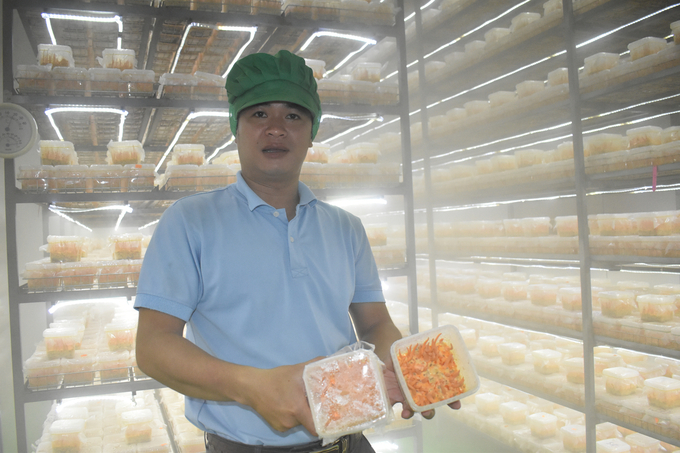 Mr. Le Xuan Dieu checks mushrooms in the growing room. Photo: Minh Dam.