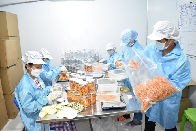 Packing dried cordyceps. Photo: Minh Dam.