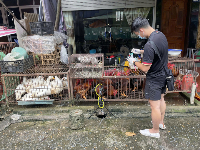 The research team surveyed and took samples at major poultry markets in Northern Vietnam. Photo: BT.