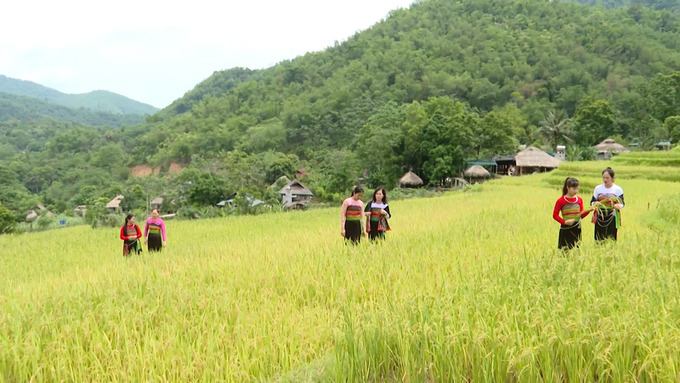 Community tourism in Pu Luong. Photo: Pham Huy.