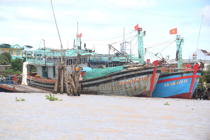 Những tàu cá Bình Định hành nghề câu mực hoạt động tại ngư trường các tỉnh miền Nam có nguy cơ cao đánh bắt vi phạm IUU. Ảnh: V.Đ.T.