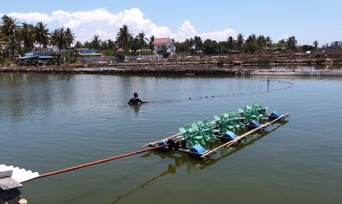 Thời gian qua, Viện Nghiên cứu Nuôi trồng thủy sản III đã chuyển giao nhiều tiến bộ kỹ thuật cho người nuôi để sản xuất hiệu quả. Ảnh: KS.