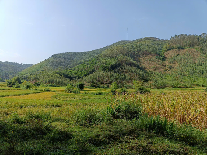 Người dân huyện Yên Bình mong muốn có những khu tái định cư an toàn lâu dài. Ảnh: Thanh Tiến.