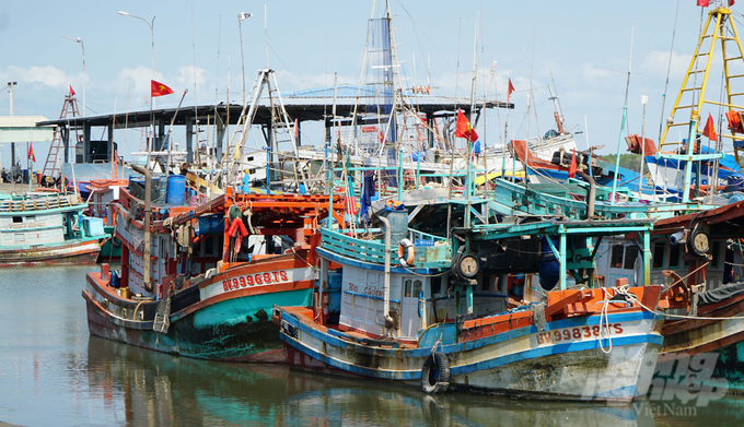 Khai thác luôn trong tình trạng thua lỗ nên nhiều chủ tàu đành cho thuyền 'án binh bất động' để khỏi lỗ chồng lỗ. Ảnh: Lê Bình.