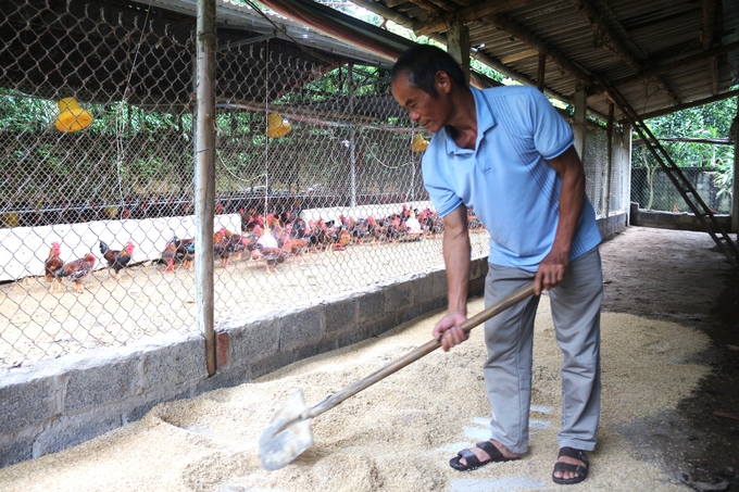 Người dân sử dụng chế phẩm vi sinh tạo vùng đệm lót sinh học cho chuồng trại. Ảnh: Phạm Hiếu. 