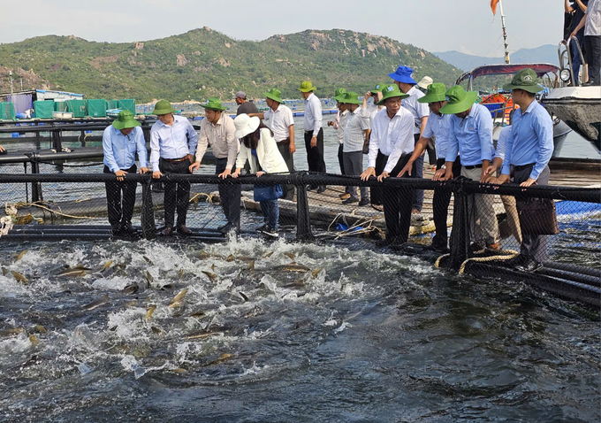 Thời gian qua, Viện Nghiên cứu Nuôi trồng thủy sản III đã đóng góp lớn cho sự phát triển nuôi trồng thủy sản. Ảnh: KS.