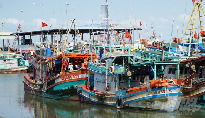 Exploitation is always at a loss, so many ship owners have to 'immobilize' their ships to avoid losses upon losses. Photo: Le Binh.